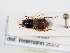  ( - ABOL-24-1798)  @11 [ ] Unspecified (default): All Rights Reserved (2024) Naturhistorisches Museum Wien Naturhistorisches Museum Wien
