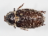  ( - ABOL-24-1812)  @11 [ ] Unspecified (default): All Rights Reserved (2024) Naturhistorisches Museum Wien Naturhistorisches Museum Wien