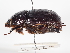  ( - ABOL-24-1802)  @11 [ ] Unspecified (default): All Rights Reserved (2024) Naturhistorisches Museum Wien Naturhistorisches Museum Wien