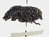  ( - ABOL-24-1815)  @11 [ ] Unspecified (default): All Rights Reserved (2024) Naturhistorisches Museum Wien Naturhistorisches Museum Wien