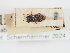  ( - ABOL-24-1789)  @11 [ ] Unspecified (default): All Rights Reserved (2024) Naturhistorisches Museum Wien Naturhistorisches Museum Wien