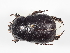  ( - ABOL-24-1800)  @11 [ ] Unspecified (default): All Rights Reserved (2024) Naturhistorisches Museum Wien Naturhistorisches Museum Wien