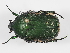  ( - ABOL-24-1806)  @11 [ ] Unspecified (default): All Rights Reserved (2024) Naturhistorisches Museum Wien Naturhistorisches Museum Wien