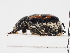  ( - ABOL-24-1809)  @11 [ ] Unspecified (default): All Rights Reserved (2024) Naturhistorisches Museum Wien Naturhistorisches Museum Wien