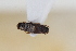  ( - ABOL-24-0976)  @11 [ ] Unspecified (default): All Rights Reserved (2024) Sebastian Ploner Unspecified