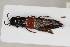  ( - ABOL-24-0981)  @11 [ ] Unspecified (default): All Rights Reserved (2024) Sebastian Ploner Unspecified