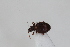  ( - ABOL-24-0987)  @11 [ ] Unspecified (default): All Rights Reserved (2024) Sebastian Ploner Unspecified