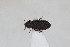  ( - ABOL-24-0988)  @11 [ ] Unspecified (default): All Rights Reserved (2024) Sebastian Ploner Unspecified