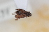  ( - ABOL-24-0989)  @11 [ ] Unspecified (default): All Rights Reserved (2024) Sebastian Ploner Unspecified