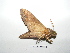  ( - BC-TDMPEG0236)  @12 [ ] Copyright (2010) Unspecified Research Collection of Thibaud Decaens