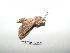  ( - BC-TDMPEG0255)  @12 [ ] Copyright (2010) Unspecified Research Collection of Thibaud Decaens