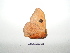 ( - BC-TDMPEG0301)  @12 [ ] Copyright (2010) Unspecified Research Collection of Thibaud Decaens