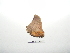  ( - BC-TDMPEG0349)  @12 [ ] Copyright (2010) Unspecified Research Collection of Thibaud Decaens
