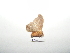  ( - BC-TDMPEG0350)  @12 [ ] Copyright (2010) Unspecified Research Collection of Thibaud Decaens