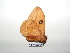  ( - BC-TDMPEG0361)  @12 [ ] Copyright (2010) Unspecified Research Collection of Thibaud Decaens