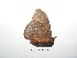  ( - BC-TDMPEG0370)  @12 [ ] Copyright (2010) Unspecified Research Collection of Thibaud Decaens