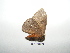  ( - BC-TDMPEG0371)  @12 [ ] Copyright (2010) Unspecified Research Collection of Thibaud Decaens
