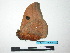  ( - BC-TDMPEG0007)  @12 [ ] Copyright (2010) Unspecified Research Collection of Thibaud Decaens