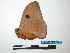  ( - BC-TDMPEG0008)  @12 [ ] Copyright (2010) Unspecified Research Collection of Thibaud Decaens