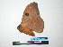  ( - BC-TDMPEG0009)  @12 [ ] Copyright (2010) Unspecified Research Collection of Thibaud Decaens