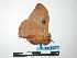  ( - BC-TDMPEG0014)  @12 [ ] Copyright (2010) Unspecified Research Collection of Thibaud Decaens