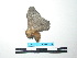  ( - BC-TDMPEG0109)  @12 [ ] Copyright (2010) Unspecified Research Collection of Thibaud Decaens