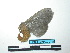  ( - BC-TDMPEG0115)  @12 [ ] Copyright (2010) Unspecified Research Collection of Thibaud Decaens