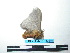 ( - BC-TDMPEG0128)  @14 [ ] Copyright (2010) Unspecified Research Collection of Thibaud Decaens