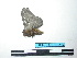  ( - BC-TDMPEG0133)  @12 [ ] Copyright (2010) Unspecified Research Collection of Thibaud Decaens