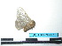  ( - BC-TDMPEG0135)  @12 [ ] Copyright (2010) Unspecified Research Collection of Thibaud Decaens