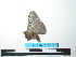  ( - BC-TDMPEG0136)  @12 [ ] Copyright (2010) Unspecified Research Collection of Thibaud Decaens