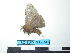  ( - BC-TDMPEG0141)  @12 [ ] Copyright (2010) Unspecified Research Collection of Thibaud Decaens