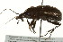  ( - TDWG-0181)  @13 [ ] CreativeCommons - Attribution (2010) CBG Photography Group Centre for Biodiversity Genomics