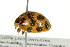  ( - TDWG-0190)  @13 [ ] CreativeCommons - Attribution (2010) CBG Photography Group Centre for Biodiversity Genomics