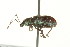  ( - TDWG-0193)  @13 [ ] CreativeCommons - Attribution (2010) CBG Photography Group Centre for Biodiversity Genomics