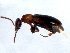  ( - TDWG-0669)  @13 [ ] CreativeCommons - Attribution (2010) CBG Photography Group Centre for Biodiversity Genomics