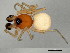  ( - TDWG-0911)  @13 [ ] CreativeCommons - Attribution (2010) CBG Photography Group Centre for Biodiversity Genomics