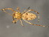  ( - TDWG-1050)  @12 [ ] CreativeCommons - Attribution (2010) CBG Photography Group Centre for Biodiversity Genomics