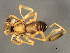  ( - TDWG-1075)  @12 [ ] CreativeCommons - Attribution (2010) CBG Photography Group Centre for Biodiversity Genomics