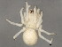  ( - TDWG-1078)  @13 [ ] CreativeCommons - Attribution (2010) CBG Photography Group Centre for Biodiversity Genomics
