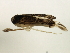  ( - TDWG-1141)  @12 [ ] CreativeCommons - Attribution (2010) CBG Photography Group Centre for Biodiversity Genomics