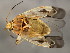  ( - TDWG-1201)  @13 [ ] CreativeCommons - Attribution (2010) CBG Photography Group Centre for Biodiversity Genomics