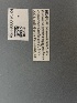 ( - PL876_FSCA_00061158)  @11 [ ] CreativeCommons - Attribution (2023) Unspecified Florida Department of Agriculture and Consumer Services, Division of Plant Industry