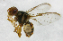  ( - cau01200)  @13 [ ] Unspecified (default): All Rights Reserved (2010) China Agricutural University, Insect Collection China Agricutural University, Insect Collection