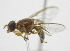  ( - cau01417)  @11 [ ] Unspecified (default): All Rights Reserved (2010) China Agricutural University, Insect Collection China Agricutural University, Insect Collection