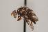  ( - TEPH120)  @13 [ ] Unspecified (default): All Rights Reserved  Unspecified Unspecified