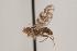  ( - TEPH132)  @11 [ ] Unspecified (default): All Rights Reserved  Unspecified Unspecified