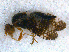  ( - DNA 20081223-02)  @12 [ ] Copyright (2010) Unspecified NCB Naturalis