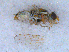  ( - DNA 20090522-04)  @12 [ ] Copyright (2010) Unspecified NCB Naturalis