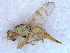  ( - DNA 20090522-08N)  @15 [ ] Copyright (2010) Unspecified NCB Naturalis